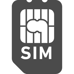 SIM